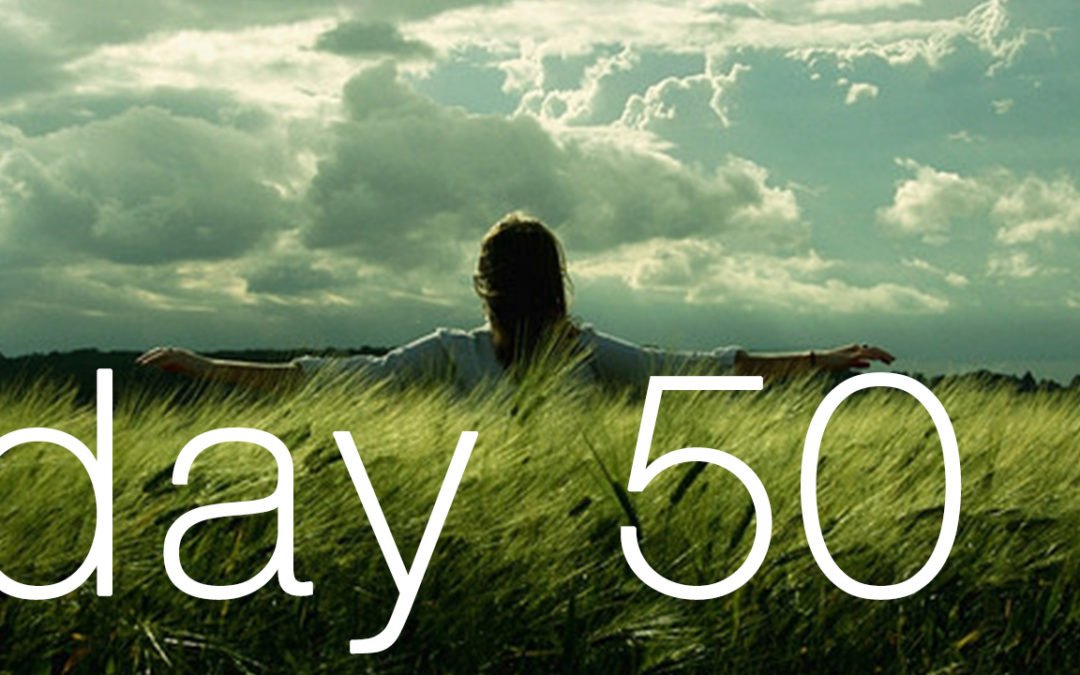 Day 50. Half way review
