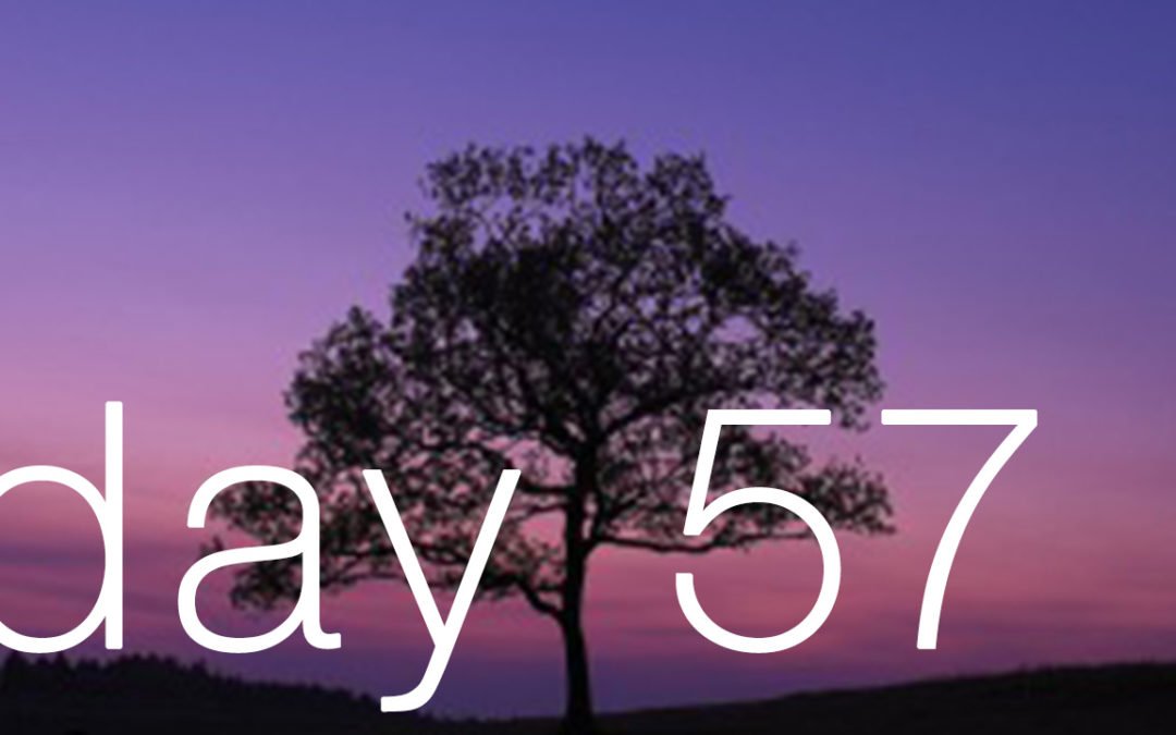 Day 57. False: “You will end up sitting under a tree forever.”
