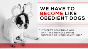 We Have to Become Like Obedient Dogs